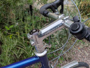 Ridgeback Panorama World Reynolds 725