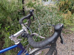Ridgeback Panorama World Reynolds 725