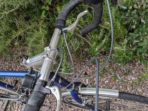 Ridgeback Panorama World Reynolds 725