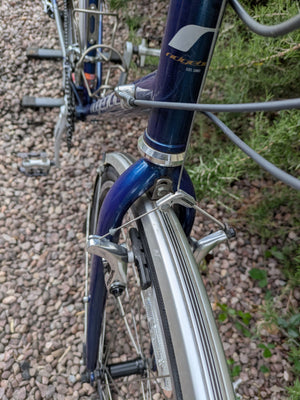 Ridgeback Panorama World Reynolds 725