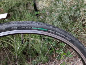 Ridgeback Panorama World Reynolds 725