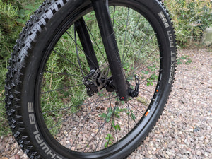 Trek Roscoe 8 MTB 2020