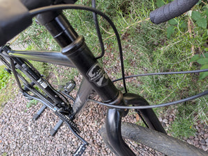 Marin Muirwoods 29er