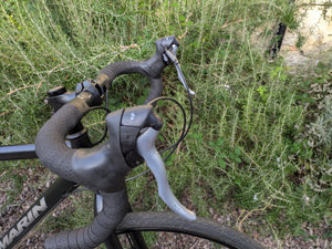 Marin Muirwoods 29er