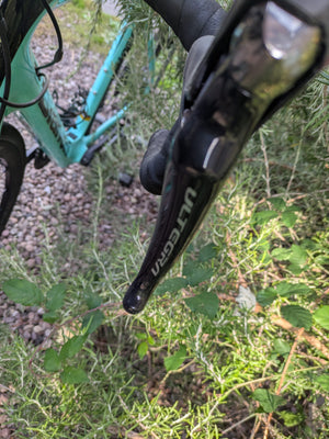 Bianchi Aria E Road