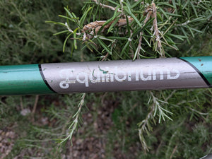 Genesis Equilibrium reynolds 725