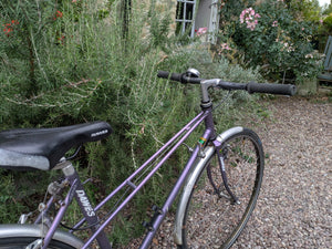 Dawes Galaxy Reynolds 531