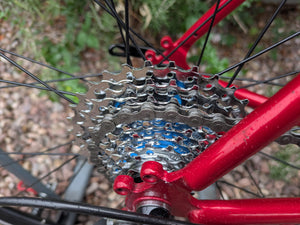 Spa Cycles Audax Reynolds 725