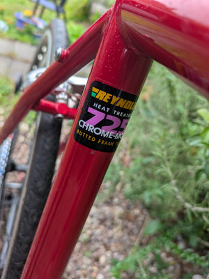 Spa Cycles Audax Reynolds 725