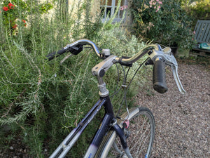 Koga Miyata Adventure