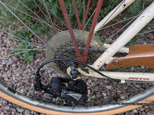 Panna cruiser