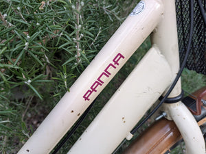 Panna cruiser
