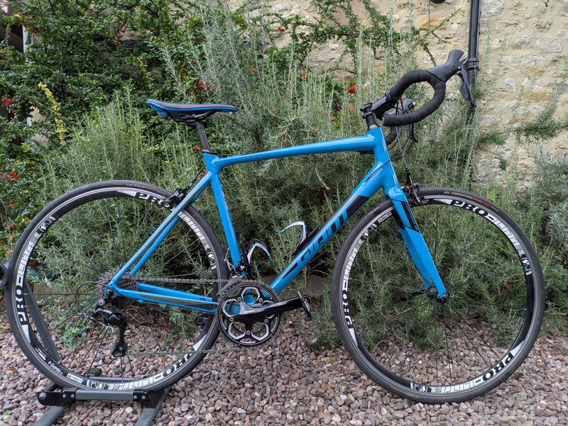 Giant Contend SL