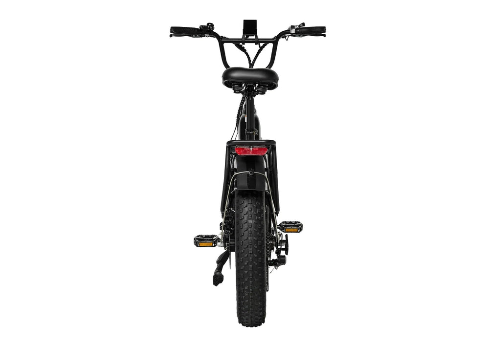 PIXAR Ride1 500W Peak Fat Tyre 48V 10.4Ah 20mph Range