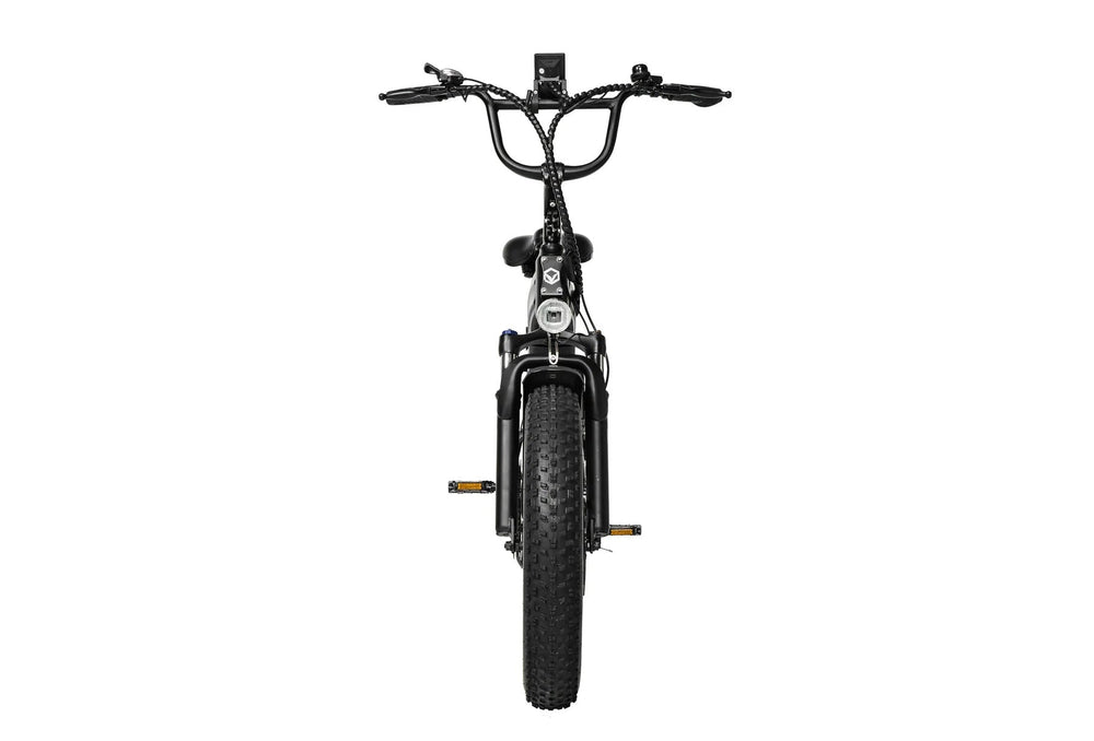 PIXAR Ride1 500W Peak Fat Tyre 48V 10.4Ah 20mph Range
