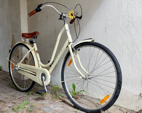 Electra Amsterdam 2012 Urban Bike