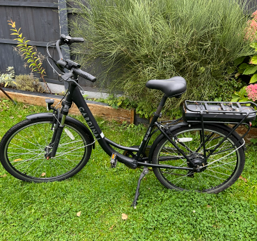 Basis Electric Bike Cardinal 2021