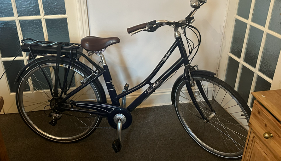 Electric pendleton bike sale