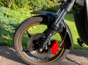 Eskuta SX-250 (2020) Electric Bike – Excellent Condition – One Owner