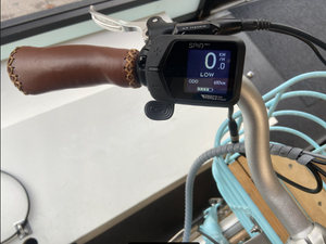 Volt Kensington 2024