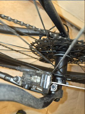 Trek Roscoe 8 2023