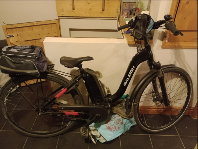 Raleigh Felix Nexus Hub Plus 2019