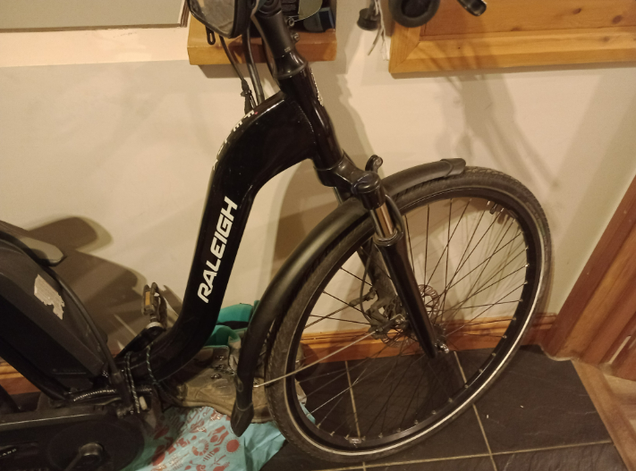 Raleigh Felix Nexus Hub Plus 2019