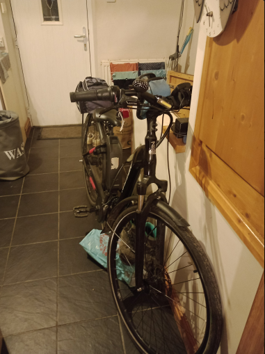 Raleigh Felix Nexus Hub Plus 2019