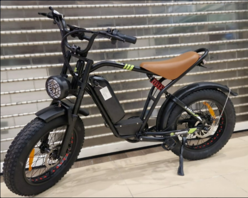 Chenxian Ebike Plus 2023