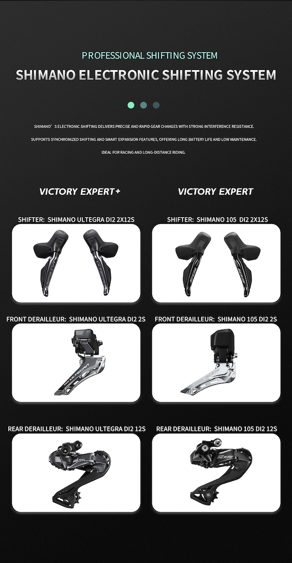 SUNPEED VICTORY EXPERT Aero