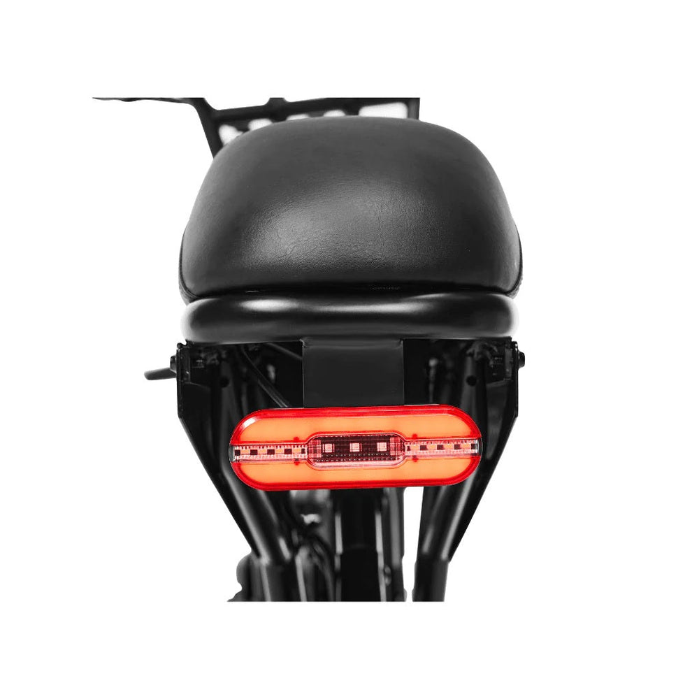 PIXAR VIPCOO VM6 750W Fat Tyre 48V Long-Range 30Ah Battery