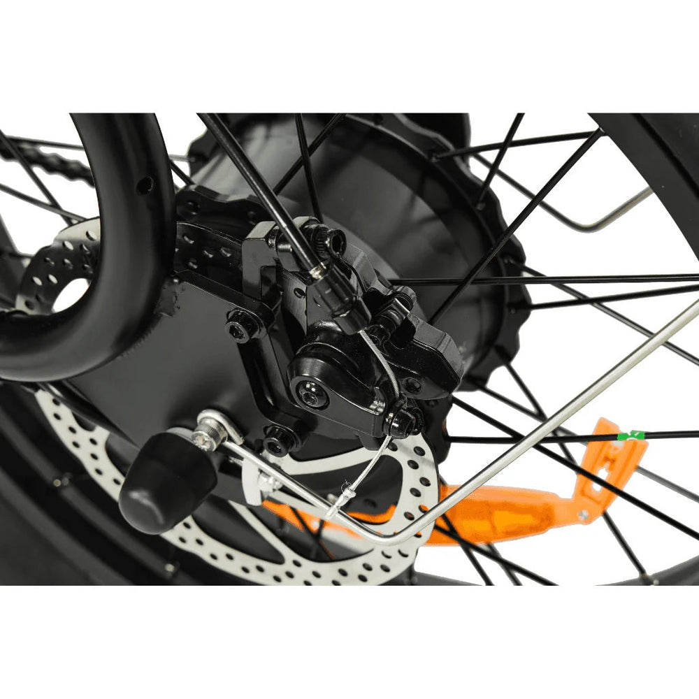 PIXAR VIPCOO VM6 750W Fat Tyre 48V Long-Range 30Ah Battery