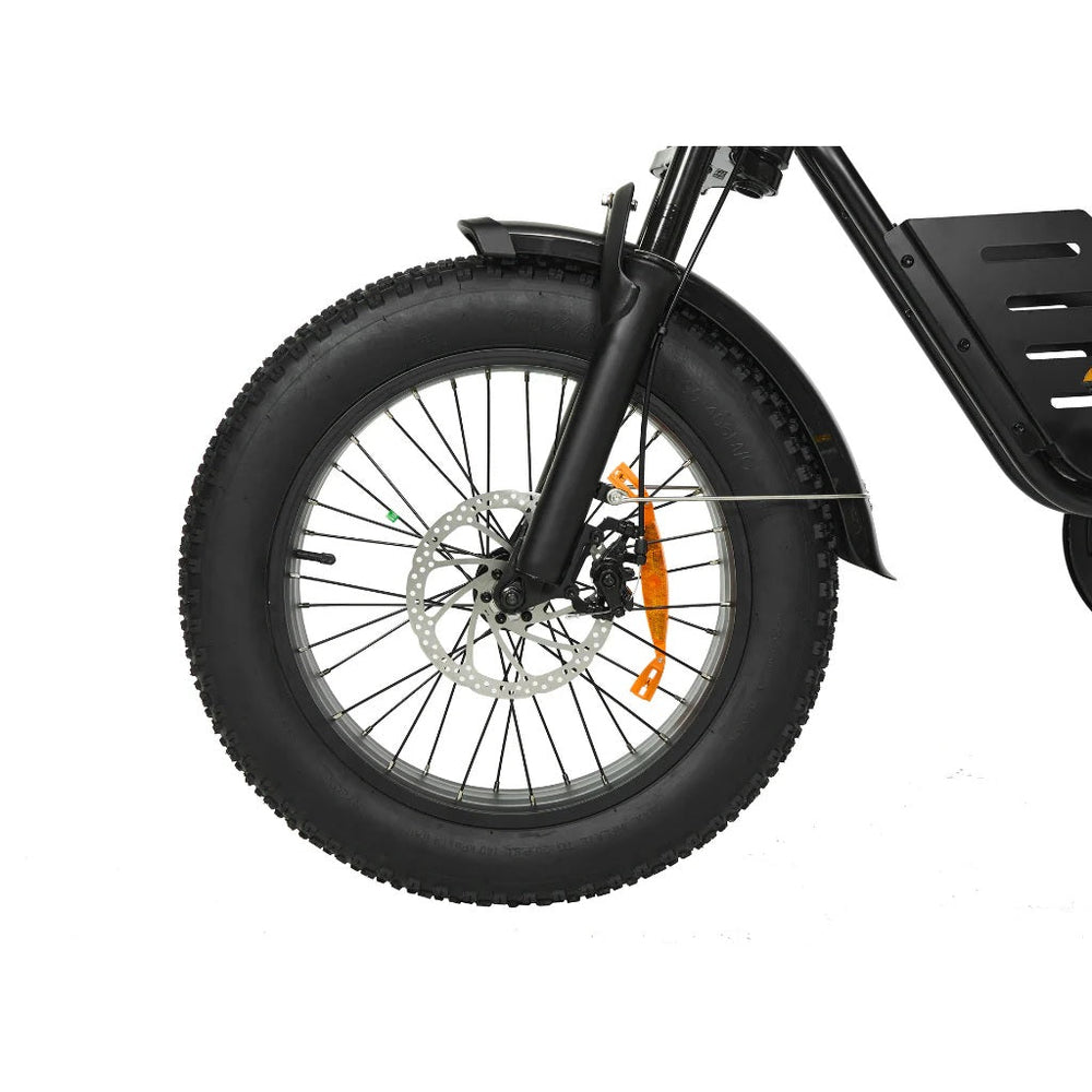 PIXAR VIPCOO VM6 750W Fat Tyre 48V Long-Range 30Ah Battery