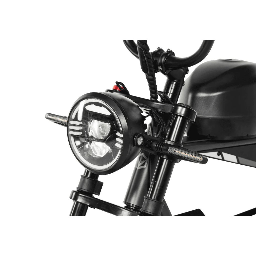 PIXAR VIPCOO VM6 750W Fat Tyre 48V Long-Range 30Ah Battery