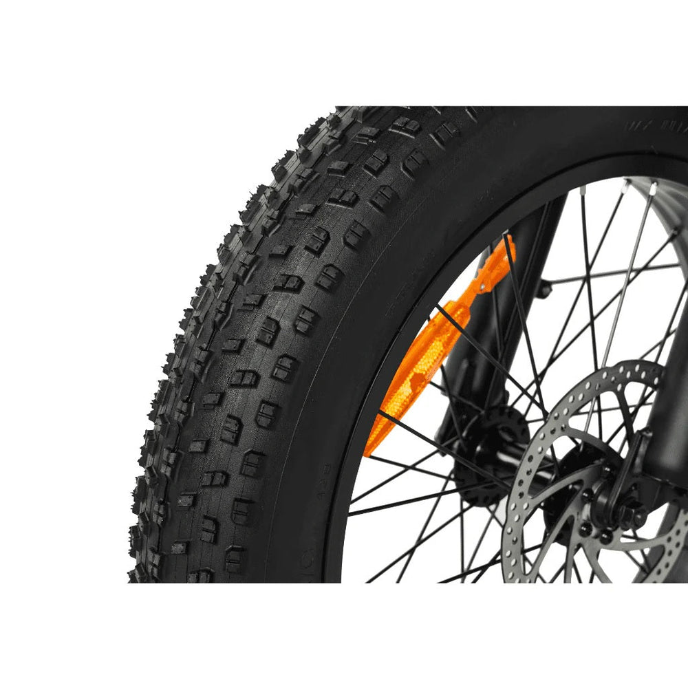 PIXAR VIPCOO VM6 750W Fat Tyre 48V Long-Range 30Ah Battery