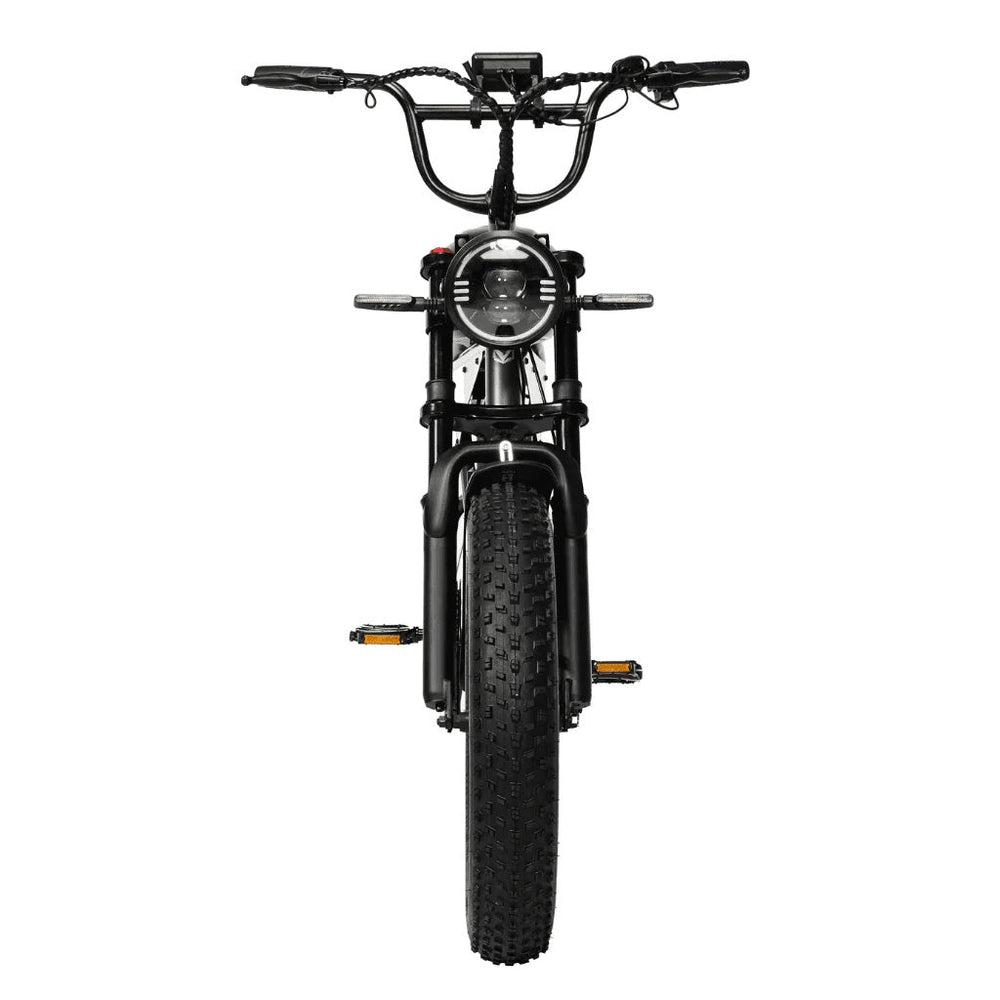 PIXAR VIPCOO VM6 750W Fat Tyre 48V Long-Range 30Ah Battery