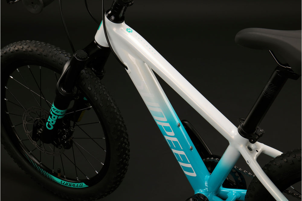 SUNPEED HERO 20" & 24"