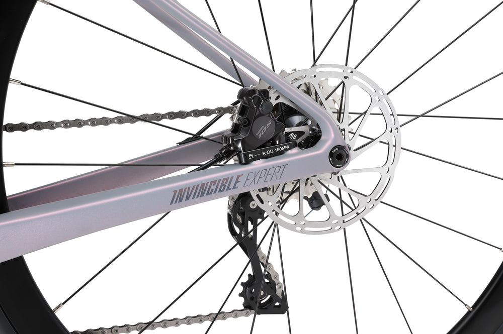 SUNPEED INVINCIBLE EXPERT (Carbon Rim)