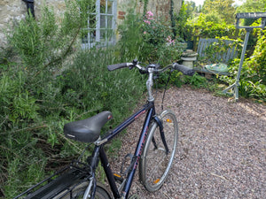 Trek 7100 FX hybrid