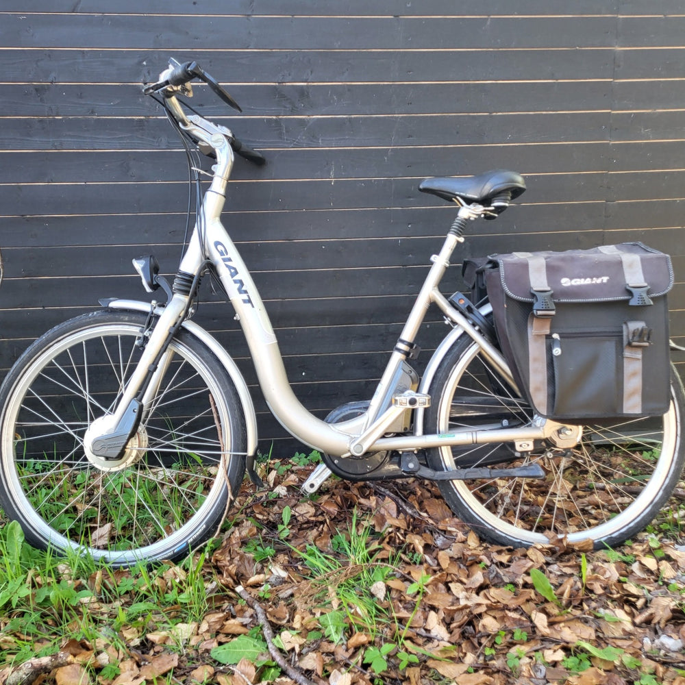 Giant Twist Elegance Lite 2009