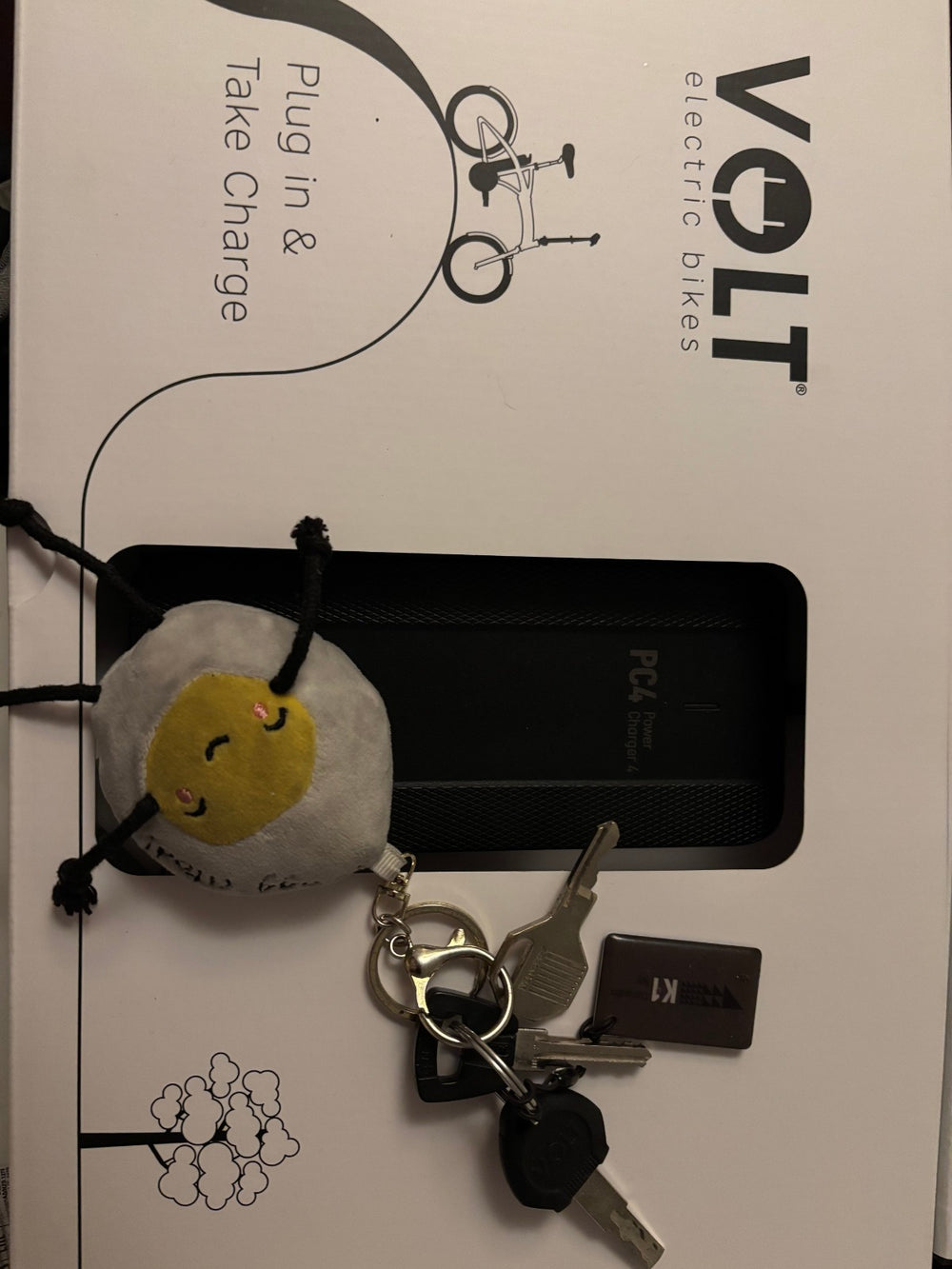 Volt Pulse Ls 2024