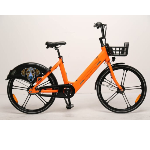 Second hand on sale used bike