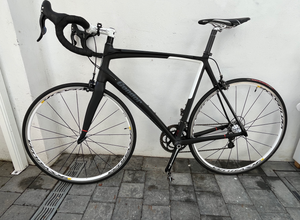 Condor Baracchi 2013