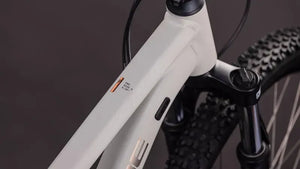 Cube Aim Pro Mountain Bike In Greige/Titan 2026