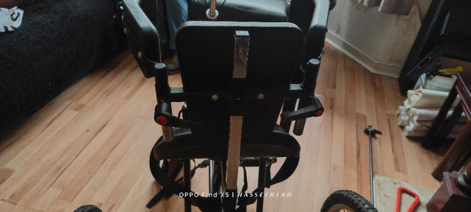 Theraplay Disability trike 2018