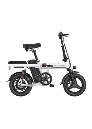 ENGWE T14 250W