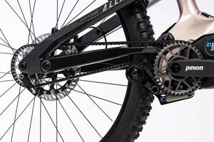 Haibike Allmtn CF 11 TRN/IQ in Rock/Carbon 2025
