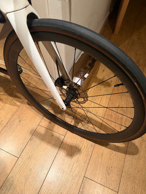 Trek Domane+