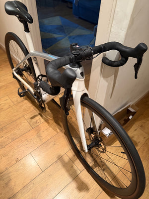 Trek Domane+