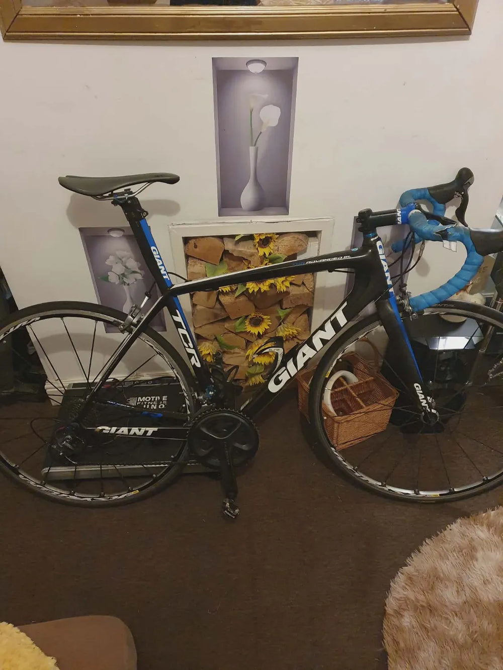 Giant TCR Advanced SL 3 2012